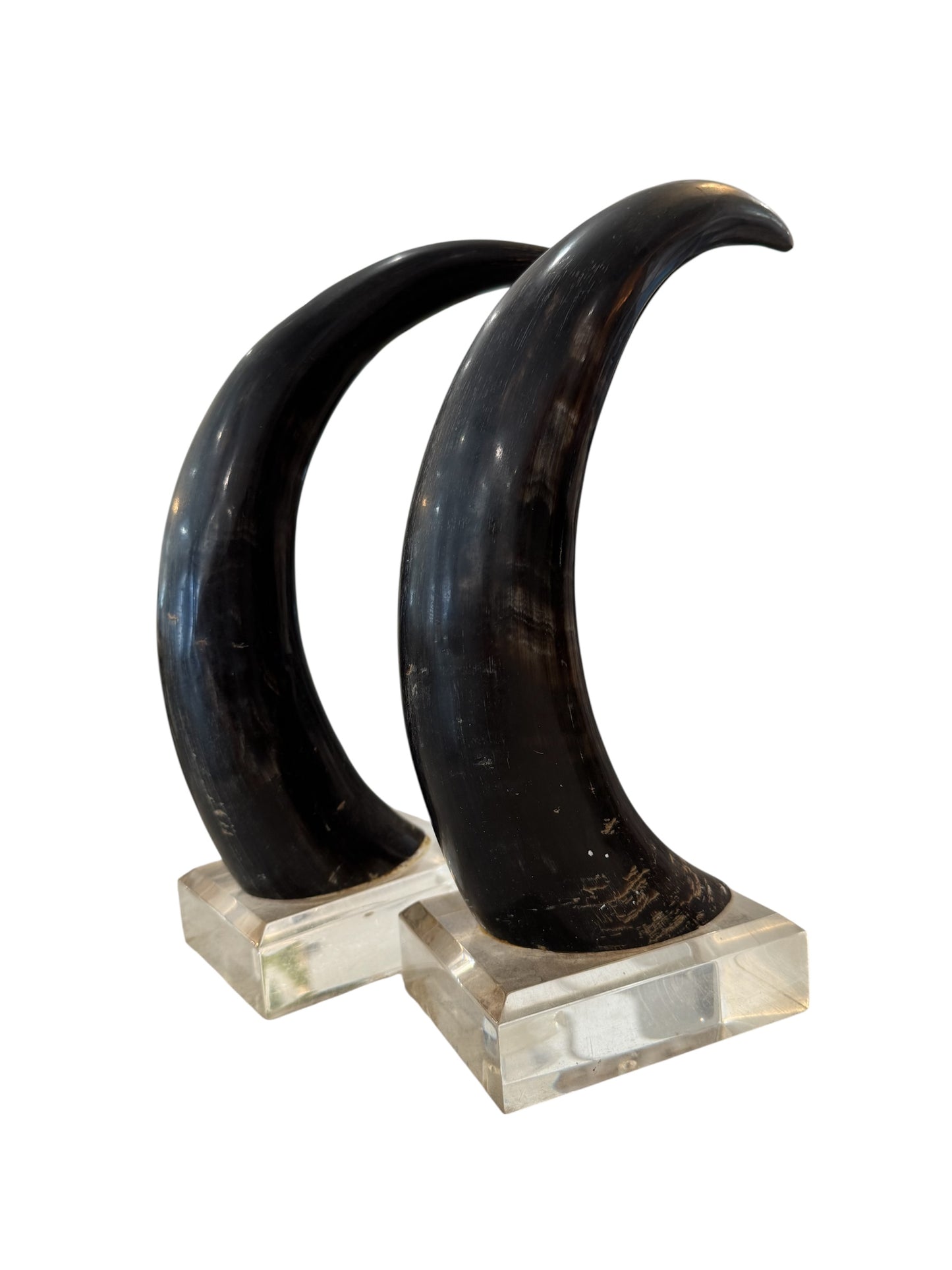 Black Horns with Lucite Holder
