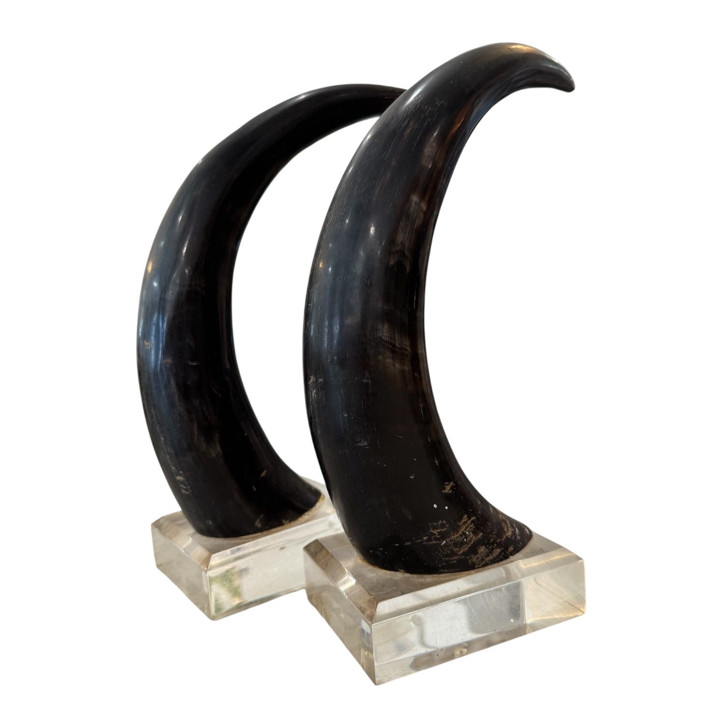 Black Horns with Lucite Holder