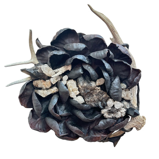 "tfg Prehistoric Earthly Elements