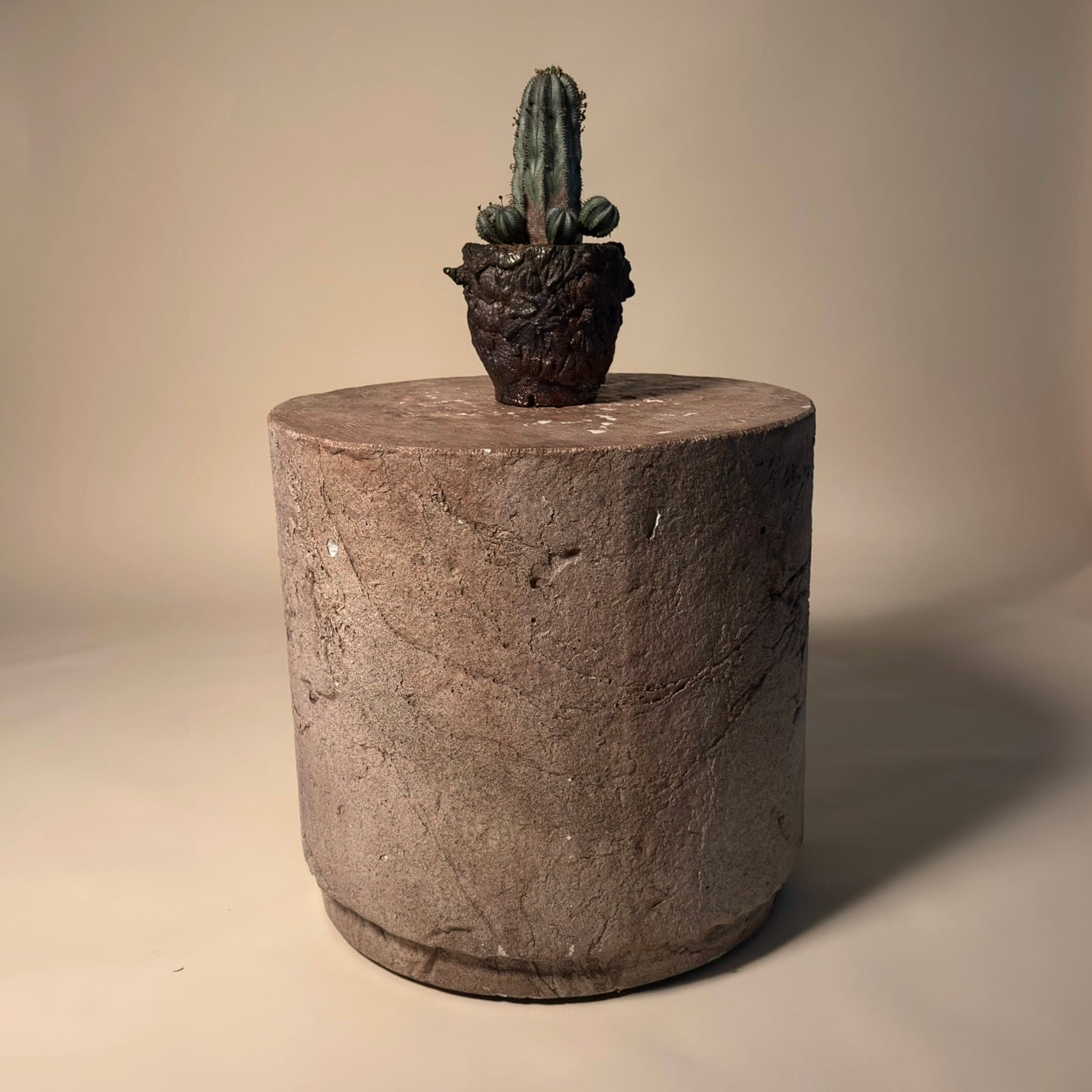 Euphorbia Polygona Cactus in Hand Crafted Ceramic Vessel