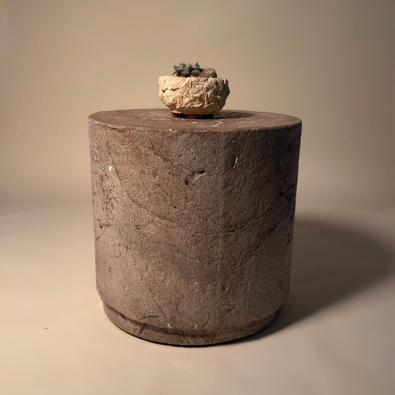 Ariocarpus Retusus Cactus in Hand Crafted Ceramic Vessel
