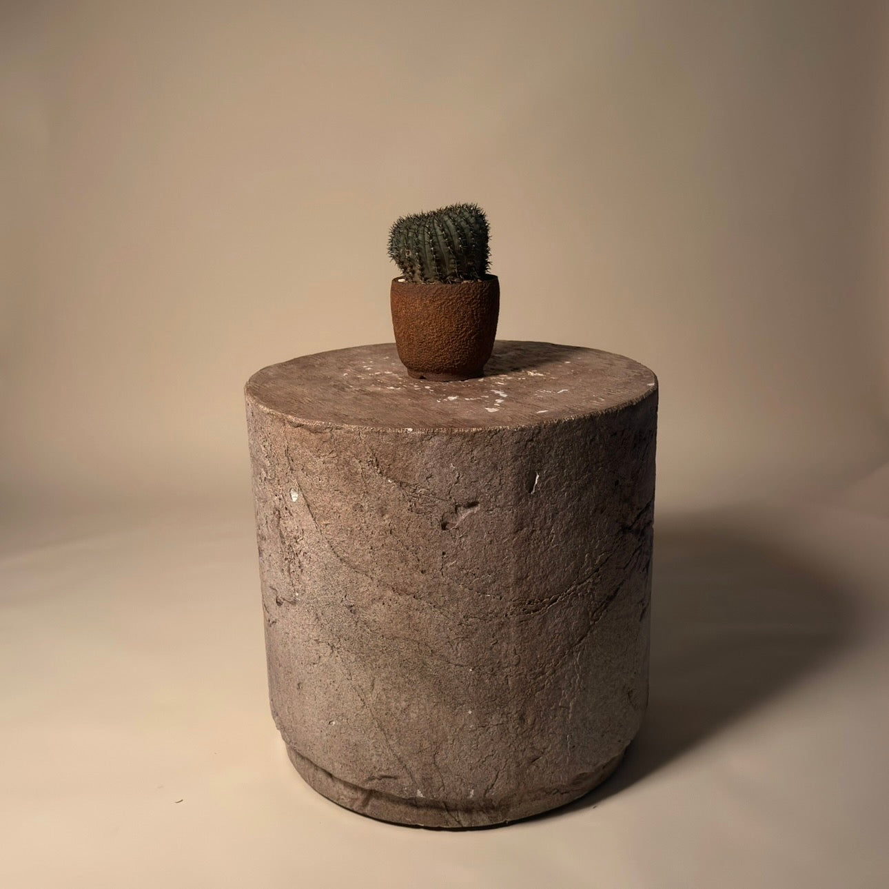 Gymnocalycium Bodenbenderanium Cactus In Vessel