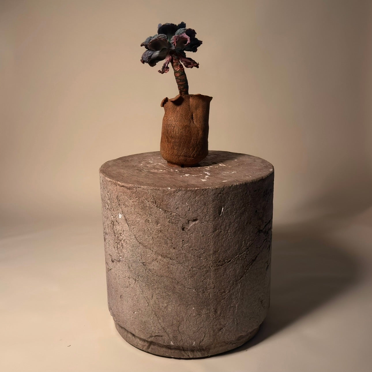 Echeveria Etna Cactus in Hand Crafted Ceramic Vessel