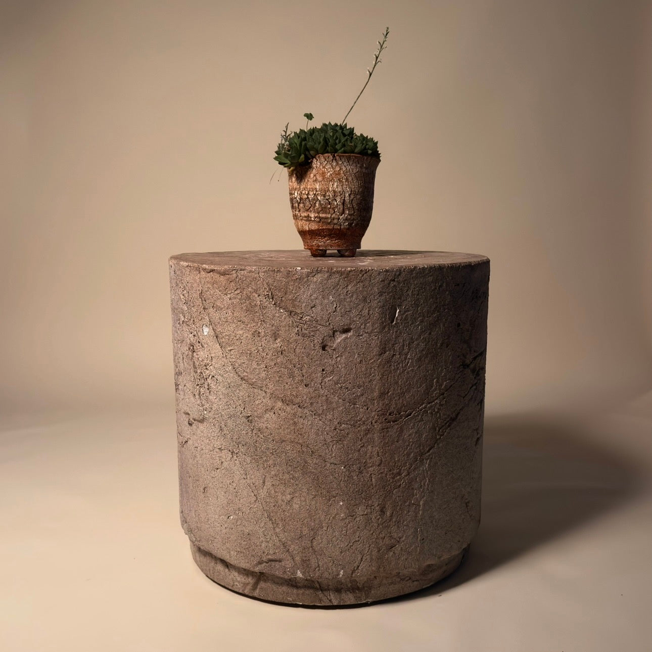 Haworthia Retusa Cluster Cactus in Hand Crafted Vessel