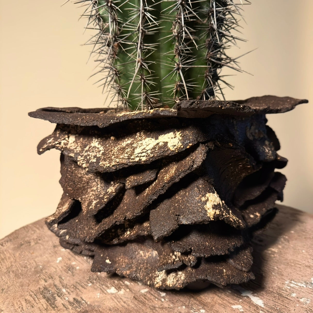 Saguaro (Carnegie's Gigantea) Cactus in Hand Crafted Ceramic Vessel