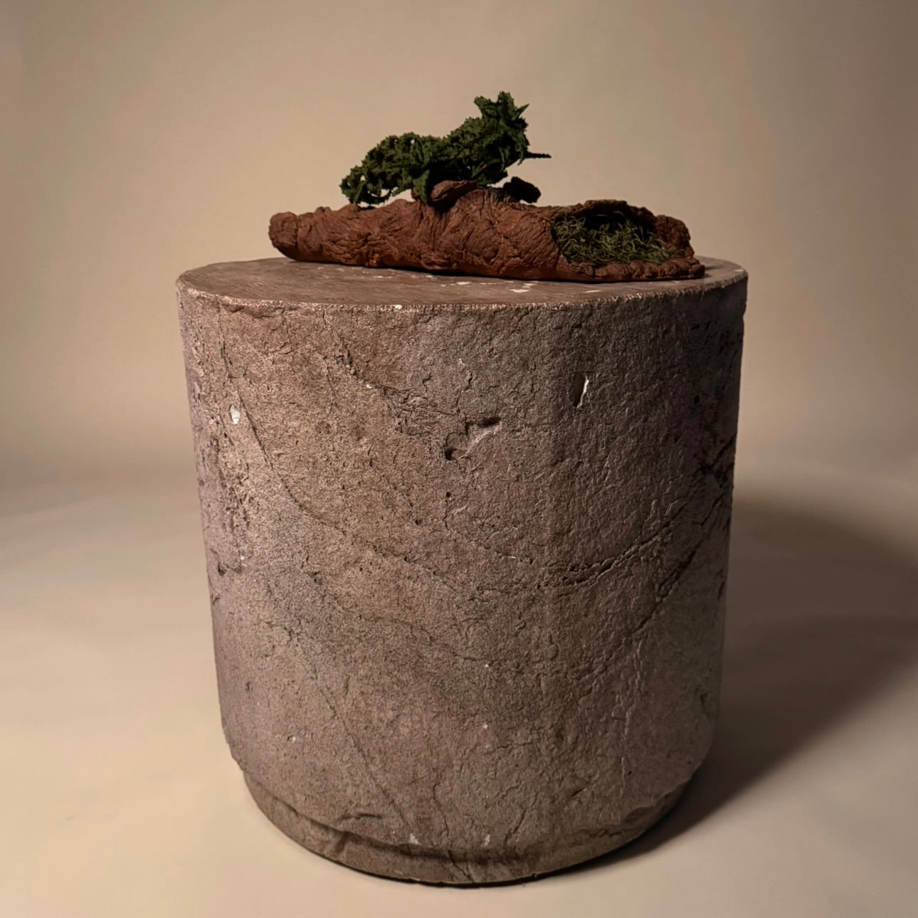 Aloe Castillonaie Cactus in Hand Crafted Ceramic Vessel