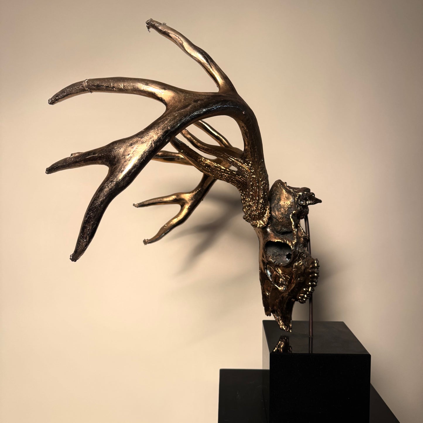 Golden Stag Skull by Carl Hopgood