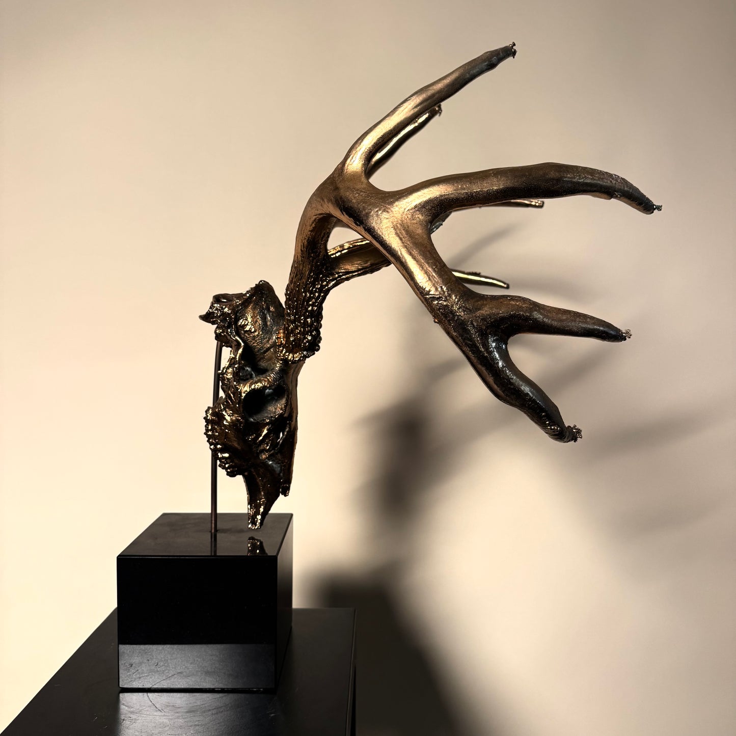 Golden Stag Skull by Carl Hopgood