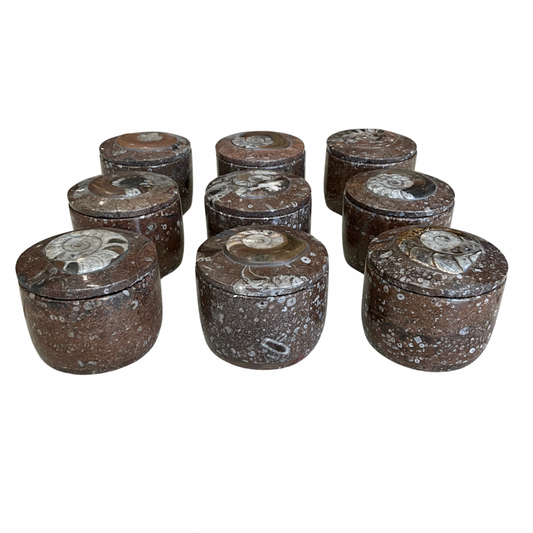 Brown Tones Orthoceras Fossil Gardenia Candle with Lid