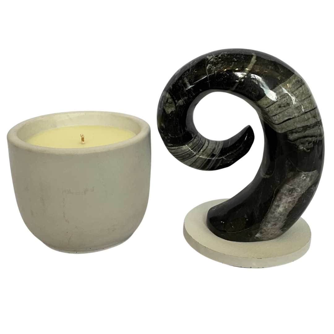 Orthoceras Fossil Lid Large Gardenia Scented Candle