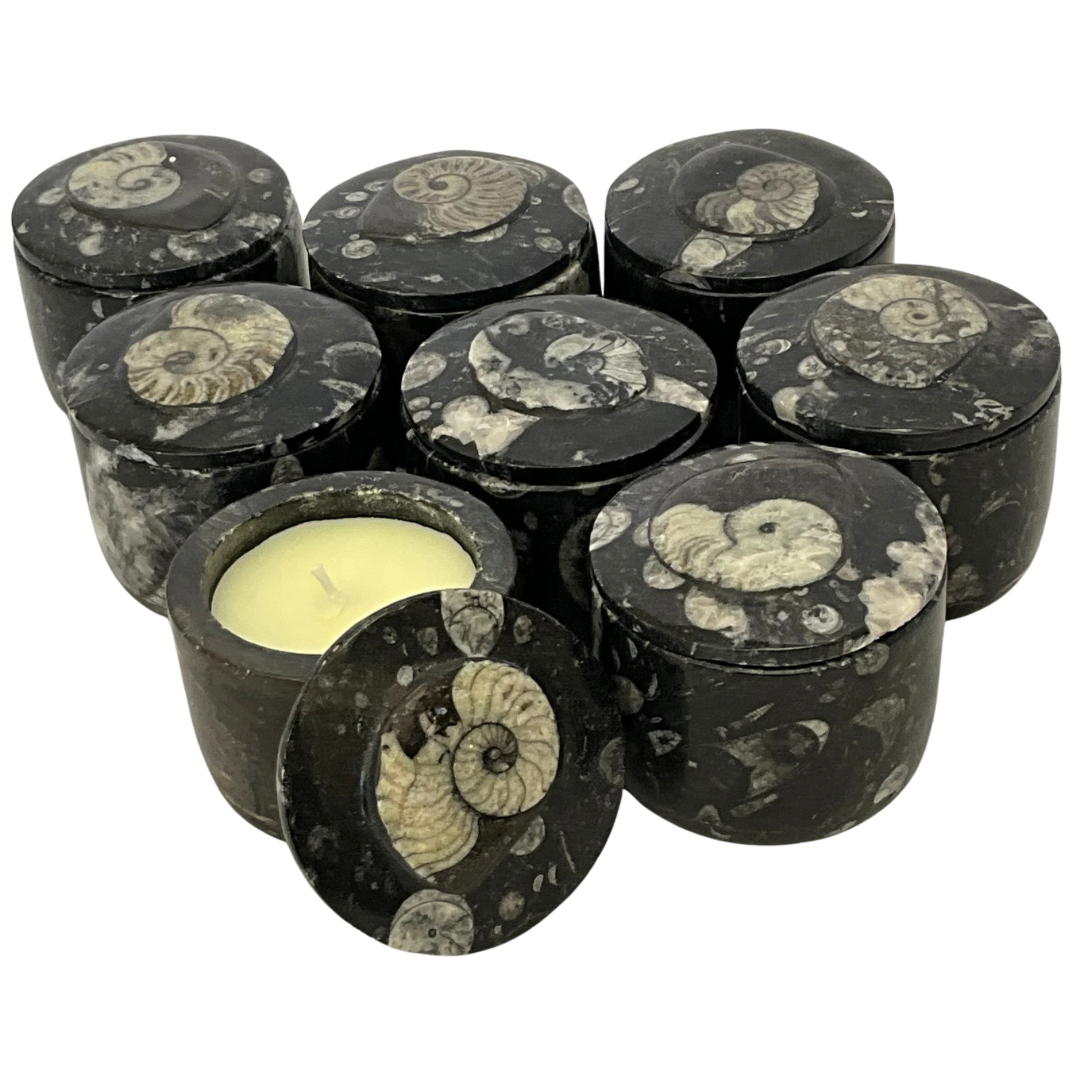Orthoceras Fossil Gardenia Candle with Lid