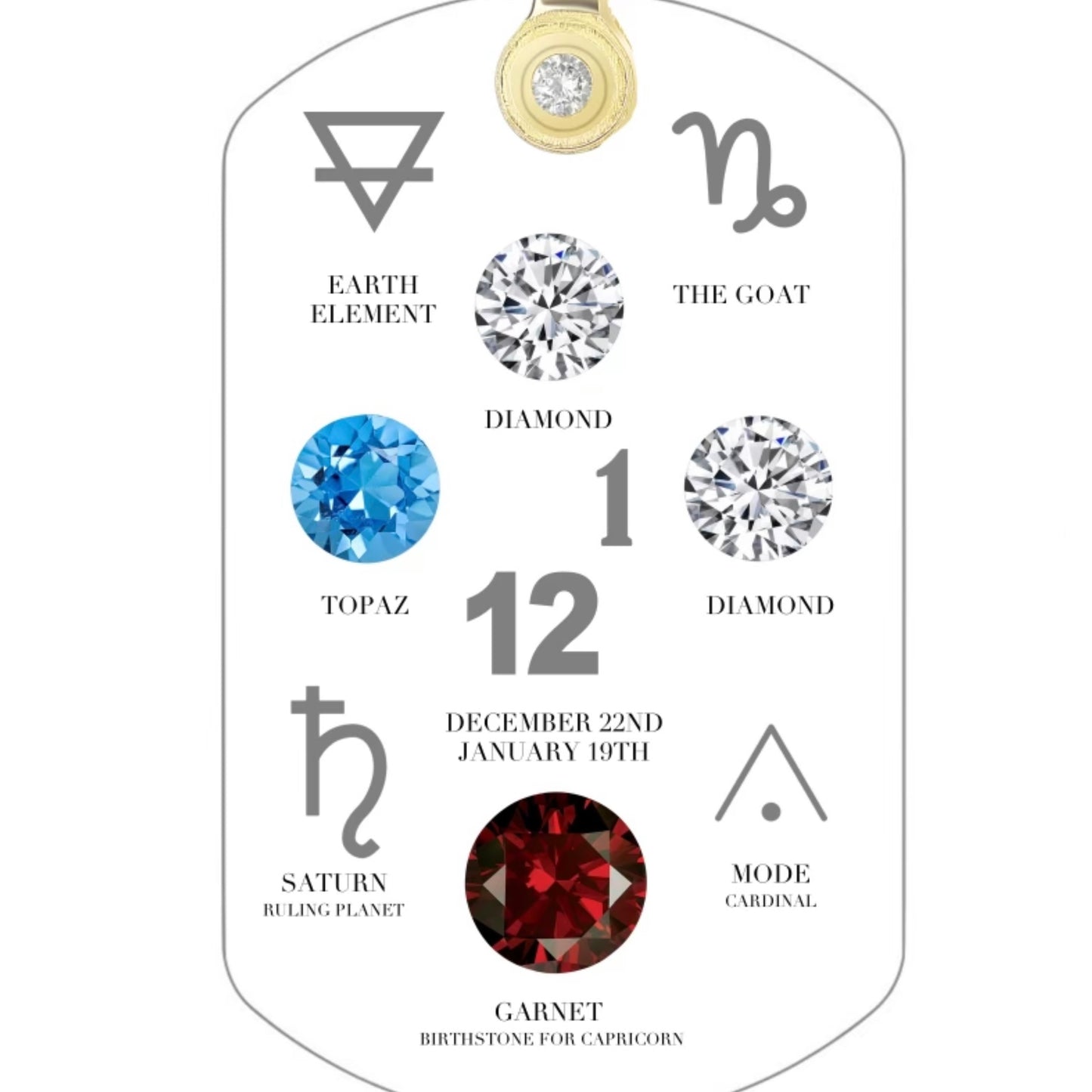 Custom Birthstone Zodiac Dog Tag Necklaces