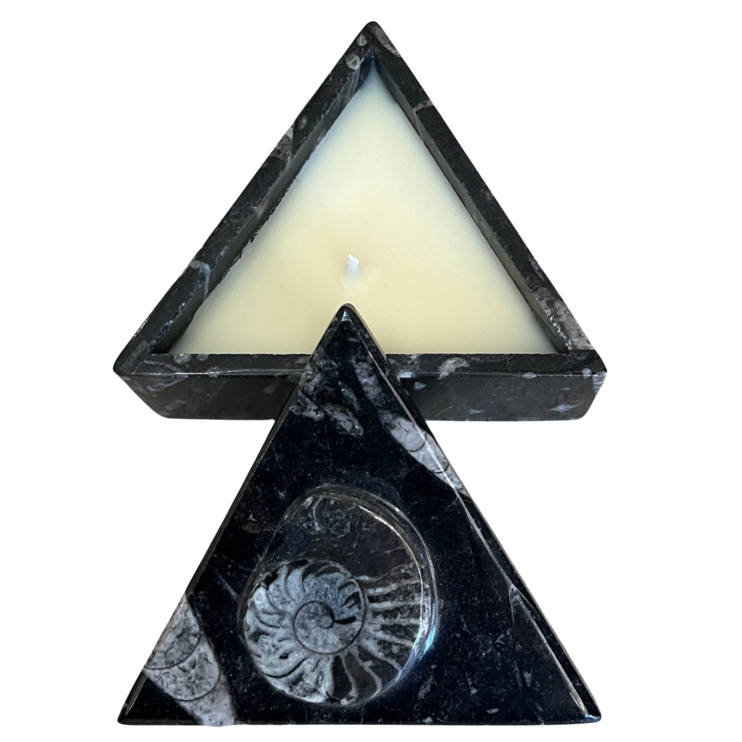 Orthoceras Fossil Triangular Gardenia Candle with Lid