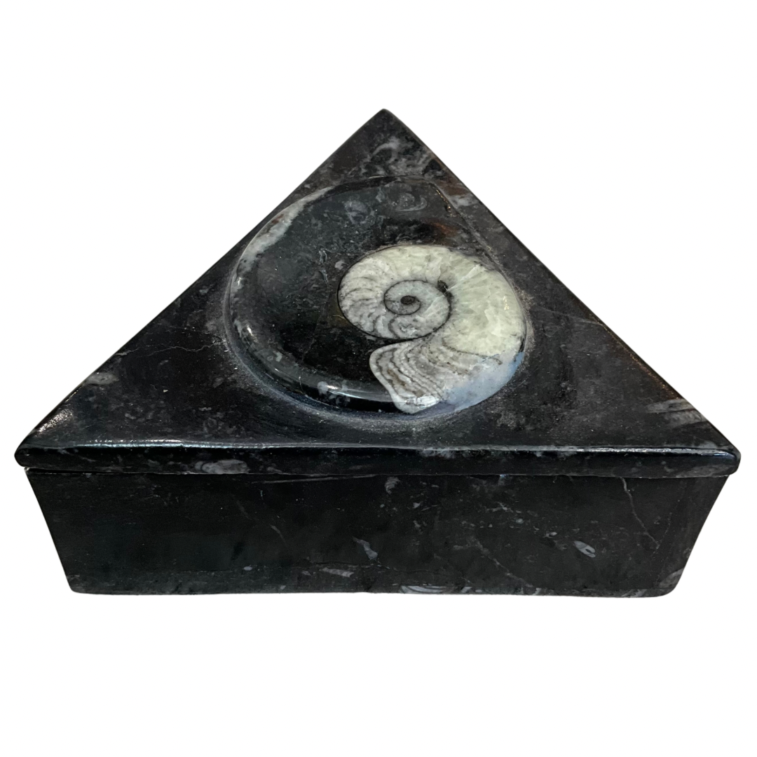Orthoceras Fossil Triangular Gardenia Candle with Lid