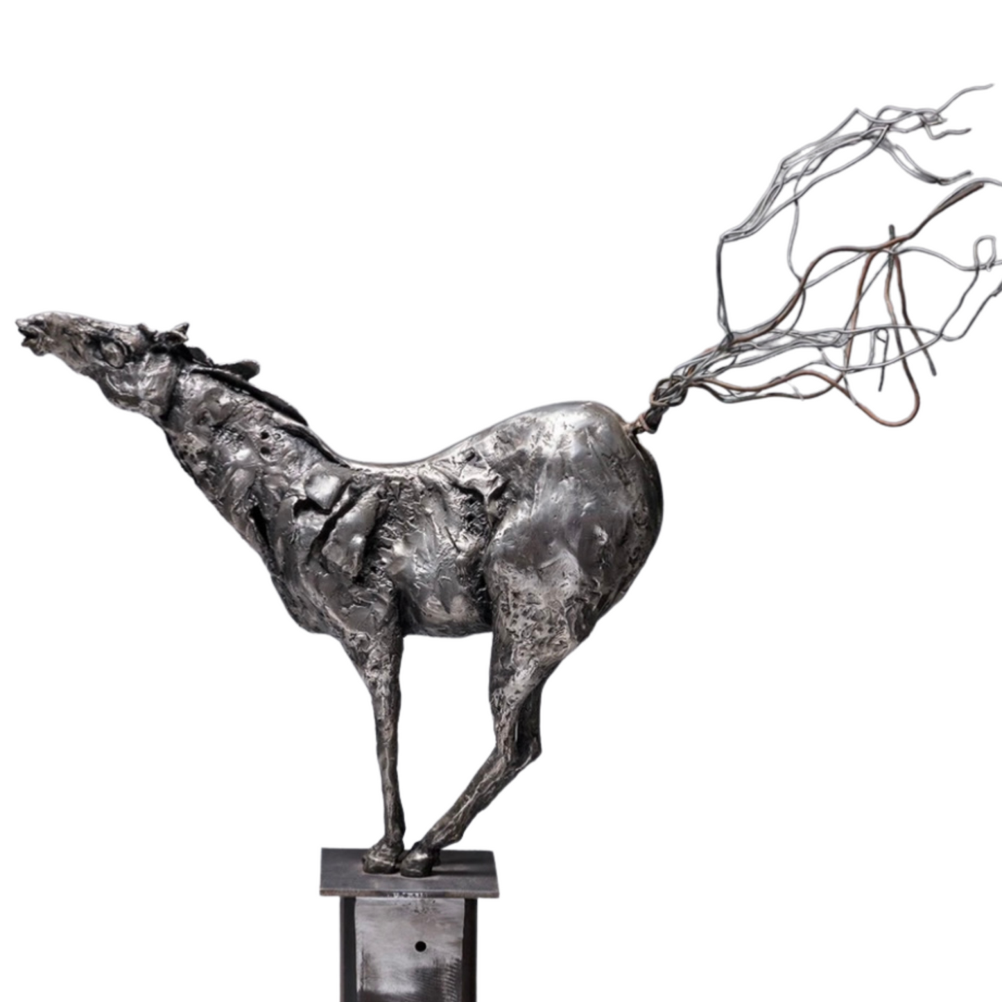 "Horselaugh" by Debbie Korbel
