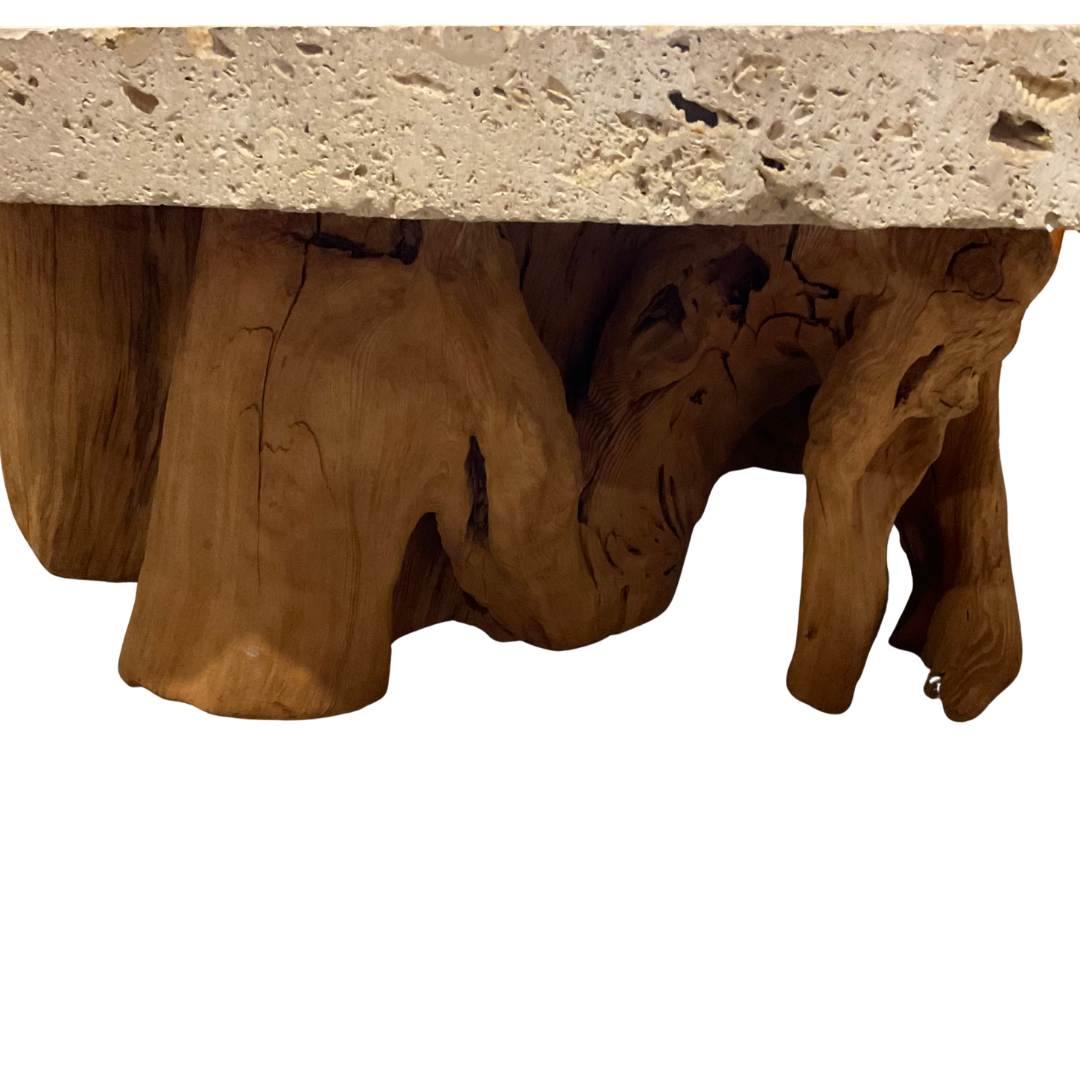 Steve Chase Shell Stone Table