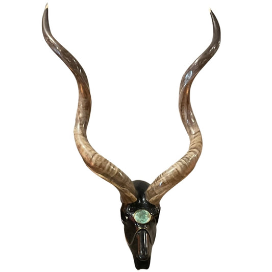 Horn Sculpture on Brass Base