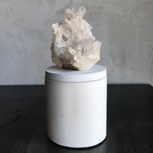 Quartz Needle Cluster Lid