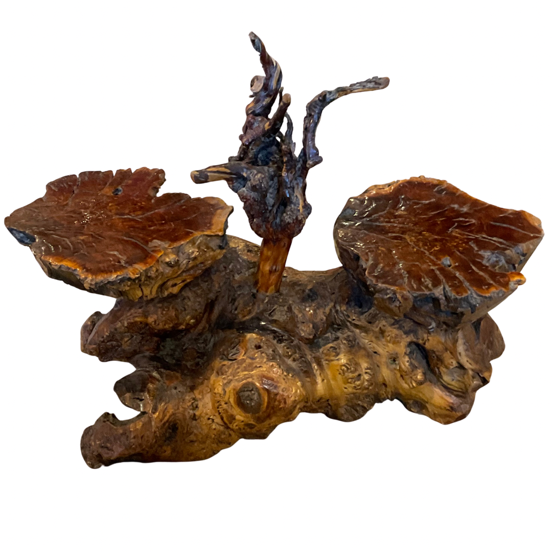 River Root Wood Abstract Sculpture
